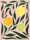 Il Citro Art Print