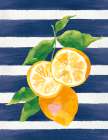 Bella Citrus I Art Print