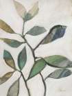 Plant Care Cool Neutral Abstract Art Print