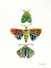 Bright Moths II Art Print