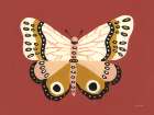 Cinnamon Butterfly Art Print