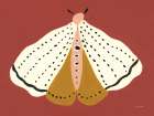 Cinnamon Moth Art Print