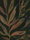 Fleural Stems II Art Print