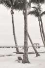 The Beach II Sepia Art Print