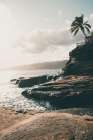 Happy in Hawaii Art Print