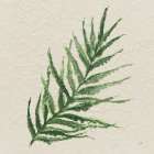 Kozo Fern VIII Art Print
