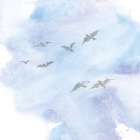 In Flight I Art Print