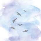 In Flight II Art Print