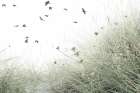 Birds Flying South Art Print