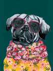 Smug Pug Art Print