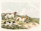 Illustration of of Running Hounds Art Print