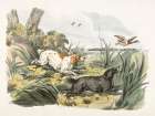 Illustration of Hounds on the Hunt Art Print