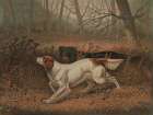 Quail Shooting Art Print