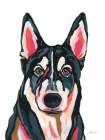 Husky Art Print