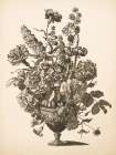 Urn Arrangement I Art Print