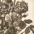 Urn Arrangement II Art Print