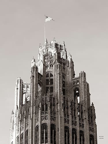 Chicago Skyline VIII Photography Print
