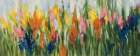 Early Summer Bloom II Art Print