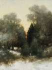 Twilight Forest Art Print