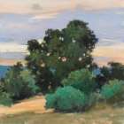 Grove at Dusk Art Print