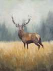 Forest Royalty Art Print