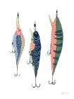 Catch of the Day I Art Print