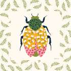Blooming Beetle IV Border Art Print