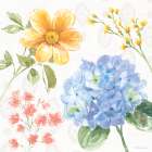 Sweet Garden II Art Print