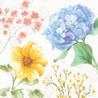 Sweet Garden III Art Print