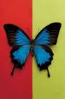 Chromatic Butterfly I Art Print