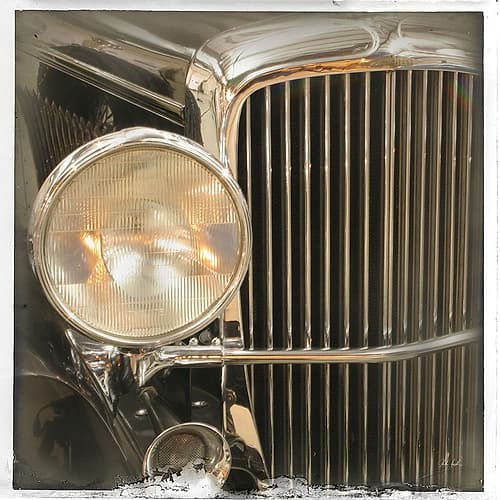 Old Sport III Photography Print