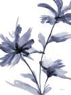 Fleur I Art Print