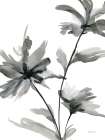 Fleur BW I Art Print