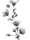 Fleur BW II Art Print