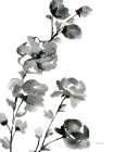 Fleur BW III Art Print