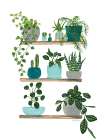 My Boho Plants I Kitchen Print