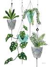 My Boho Plants II Kitchen Print