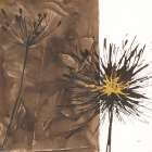 Gilded Thistle I Art Print