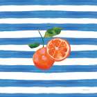 Summer in Stripes III Art Print