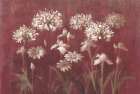Garden Flowers on Burgundy Art Print