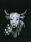 Highland Portrait with Wildflowers Art Print