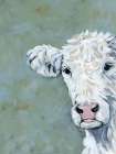 Peekaboo Cow Art Print