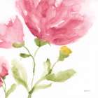 Delicate Rose I Art Print