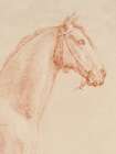 The Horse Aga Art Print