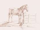 Standing Horse at a Fence Art Print