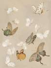 Chrysanthemum Butterflies v2 Art Print