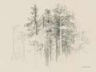 The Glade Art Print
