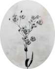 Wonderful Wildflowers XV Neutral Oval Art Print
