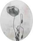 Wonderful Wildflowers I Neutral Oval Art Print