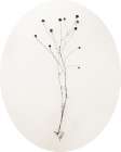 Sleek Simplicity IV Oval Art Print